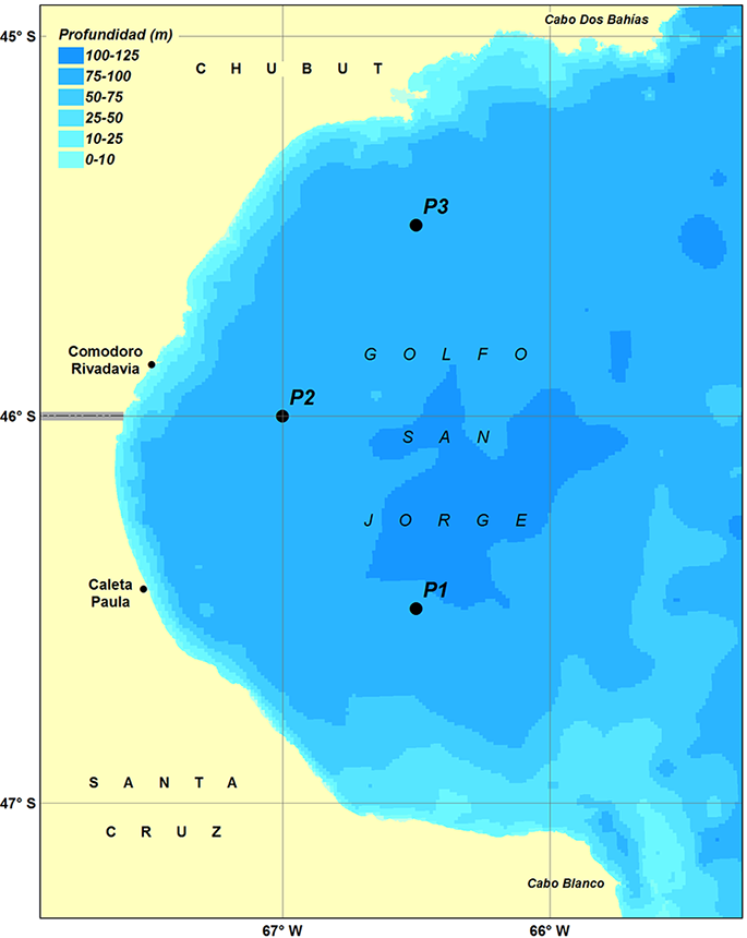 Pronóstico de Niveles y Corrientes de Marea en Golfo San Jorge